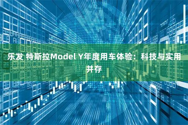 乐发 特斯拉Model Y年度用车体验：科技与实用并存
