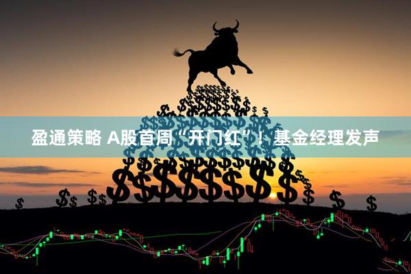 盈通策略 A股首周“开门红”！基金经理发声