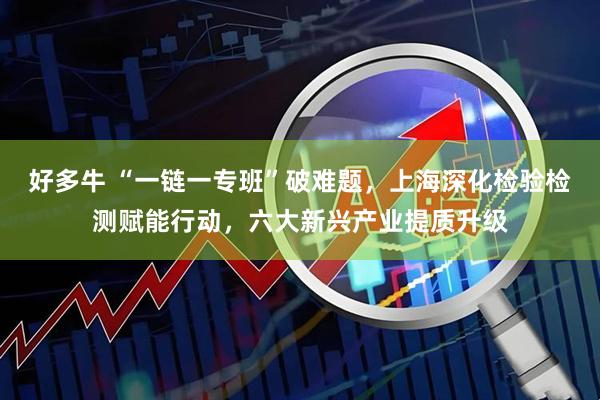 好多牛 “一链一专班”破难题，上海深化检验检测赋能行动，六大新兴产业提质升级