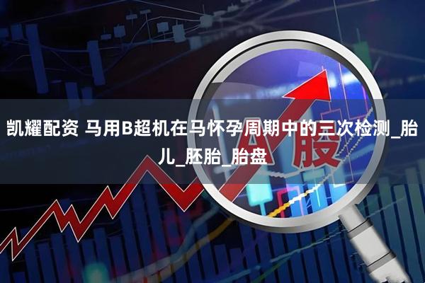 凯耀配资 马用B超机在马怀孕周期中的三次检测_胎儿_胚胎_胎盘